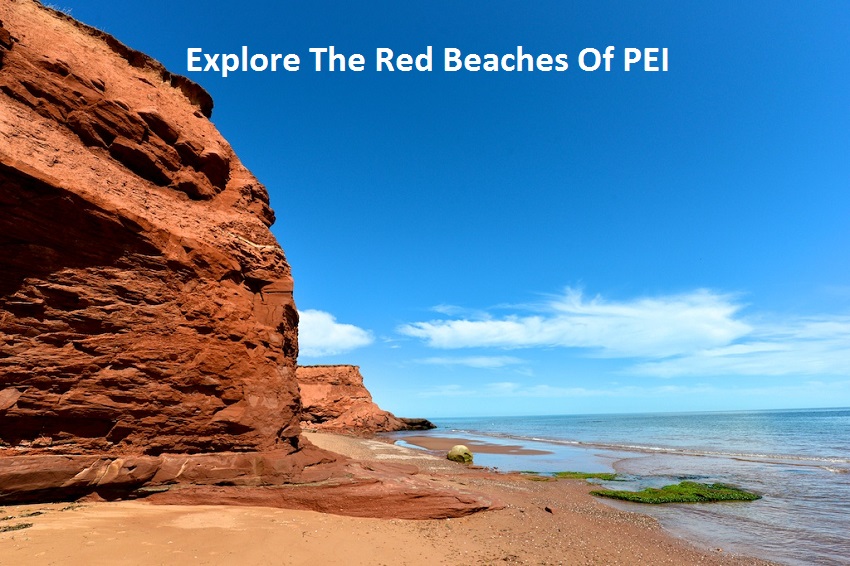 beachpei1